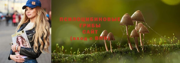 MDMA Premium VHQ Аркадак