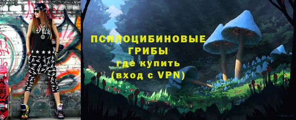 дмт Алексин