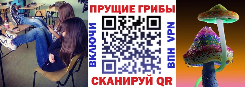 это Telegram  купить наркотик  mega зеркало  Могоча  Псилоцибиновые грибы Psilocybe 